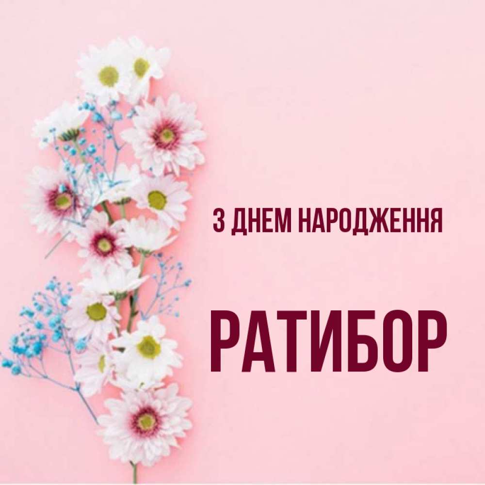 Открытка на каждый день з підписом, Ратибор З Днем народження Родная моя с днем рождения тебя картинка с цветами белыми и голубыми Прикольна листівка з побажанням онлайн скачати безкоштовно 