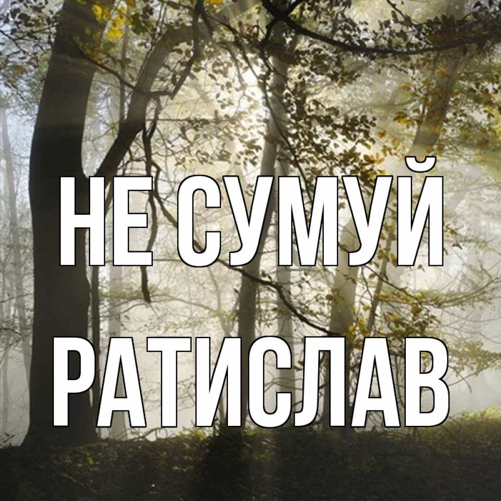 Открытка на каждый день з підписом, Ратислав Не сумуй лес и свет Прикольна листівка з побажанням онлайн скачати безкоштовно 