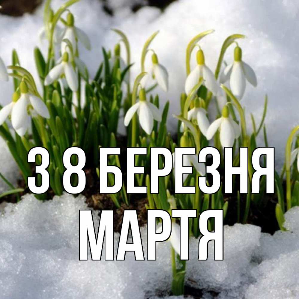 Открытка на каждый день з підписом, Мартя З 8 БЕРЕЗНЯ цветы весенние Прикольна листівка з побажанням онлайн скачати безкоштовно 