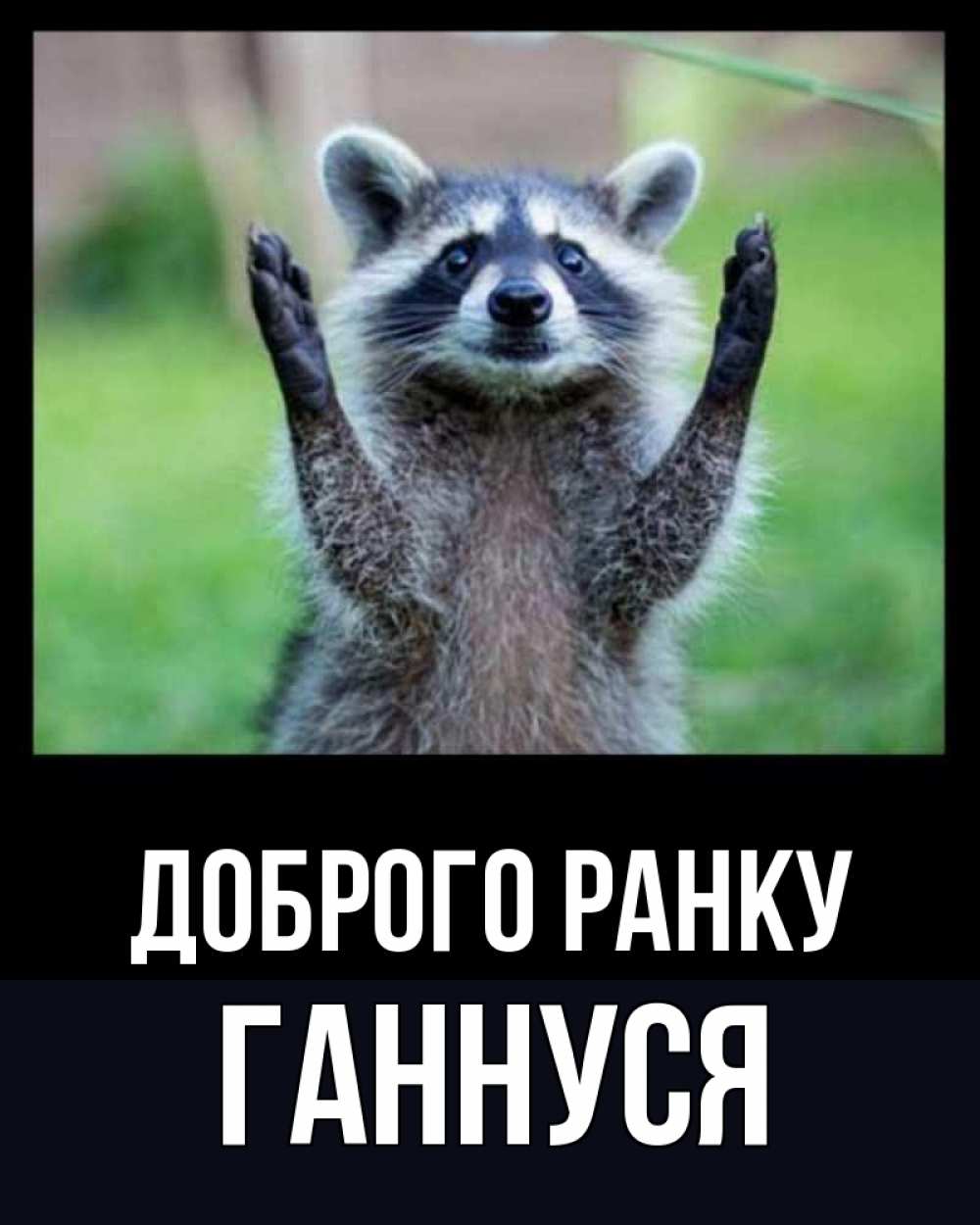 Открытка на каждый день з підписом, Ганнуся Доброго ранку хорошее настроение утречком Прикольна листівка з побажанням онлайн скачати безкоштовно 
