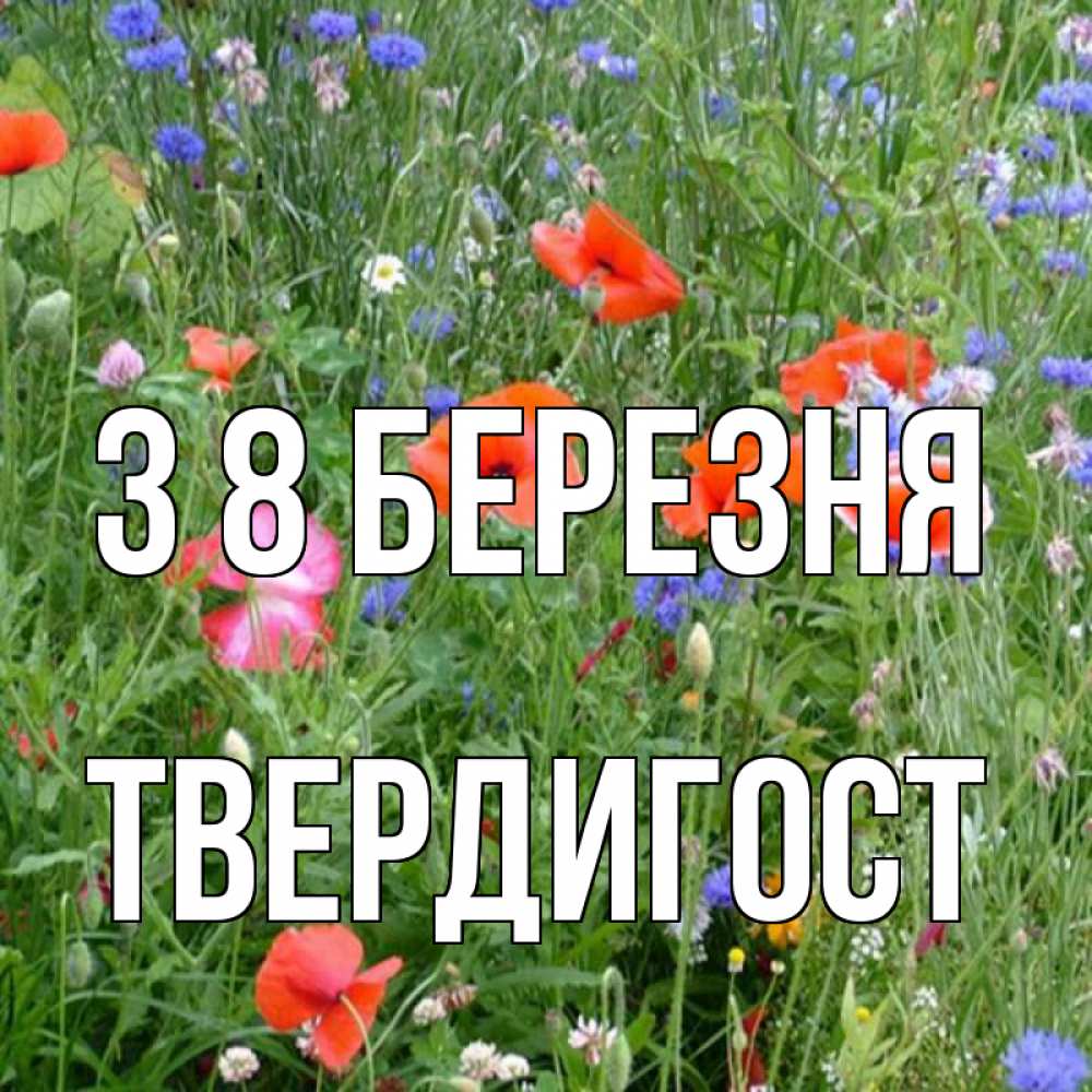 Открытка на каждый день з підписом, Твердигост З 8 БЕРЕЗНЯ международный женский день 4 Прикольна листівка з побажанням онлайн скачати безкоштовно 