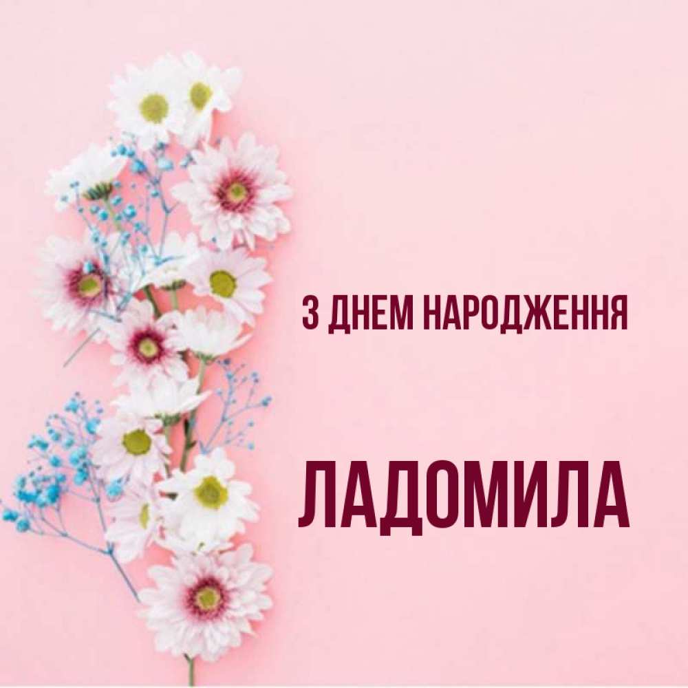 Открытка на каждый день з підписом, Ладомила З Днем народження Родная моя с днем рождения тебя картинка с цветами белыми и голубыми Прикольна листівка з побажанням онлайн скачати безкоштовно 