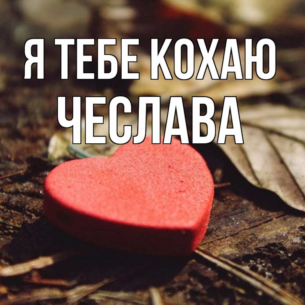 Открытка на каждый день з підписом, Чеслава Я тебе кохаю листья деревье 4 Прикольна листівка з побажанням онлайн скачати безкоштовно 