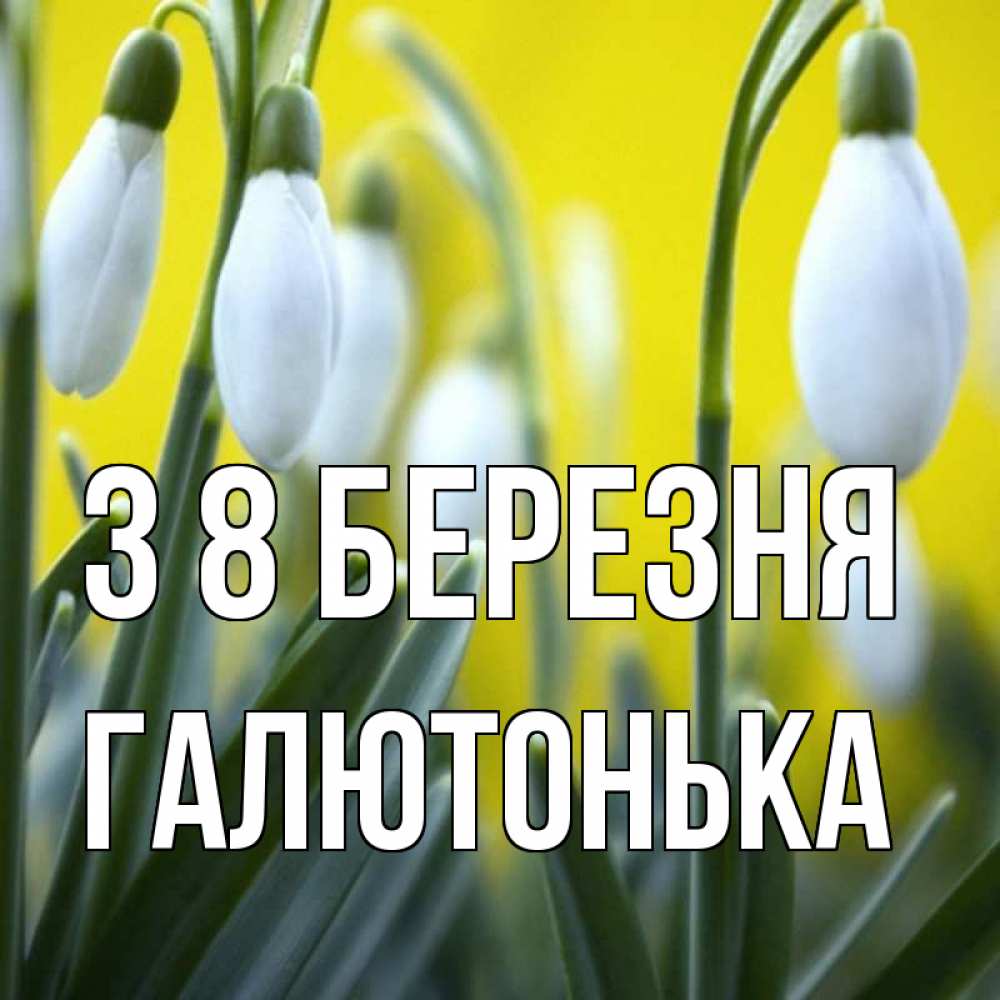 Открытка на каждый день з підписом, Галютонька З 8 БЕРЕЗНЯ весенние цветы Прикольна листівка з побажанням онлайн скачати безкоштовно 