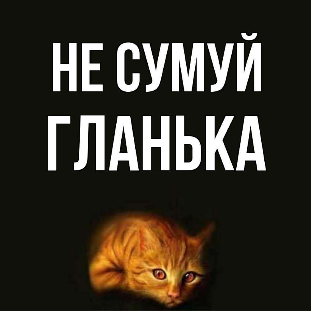 Открытка на каждый день з підписом, Гланька Не сумуй лежащий кот в темноте Прикольна листівка з побажанням онлайн скачати безкоштовно 