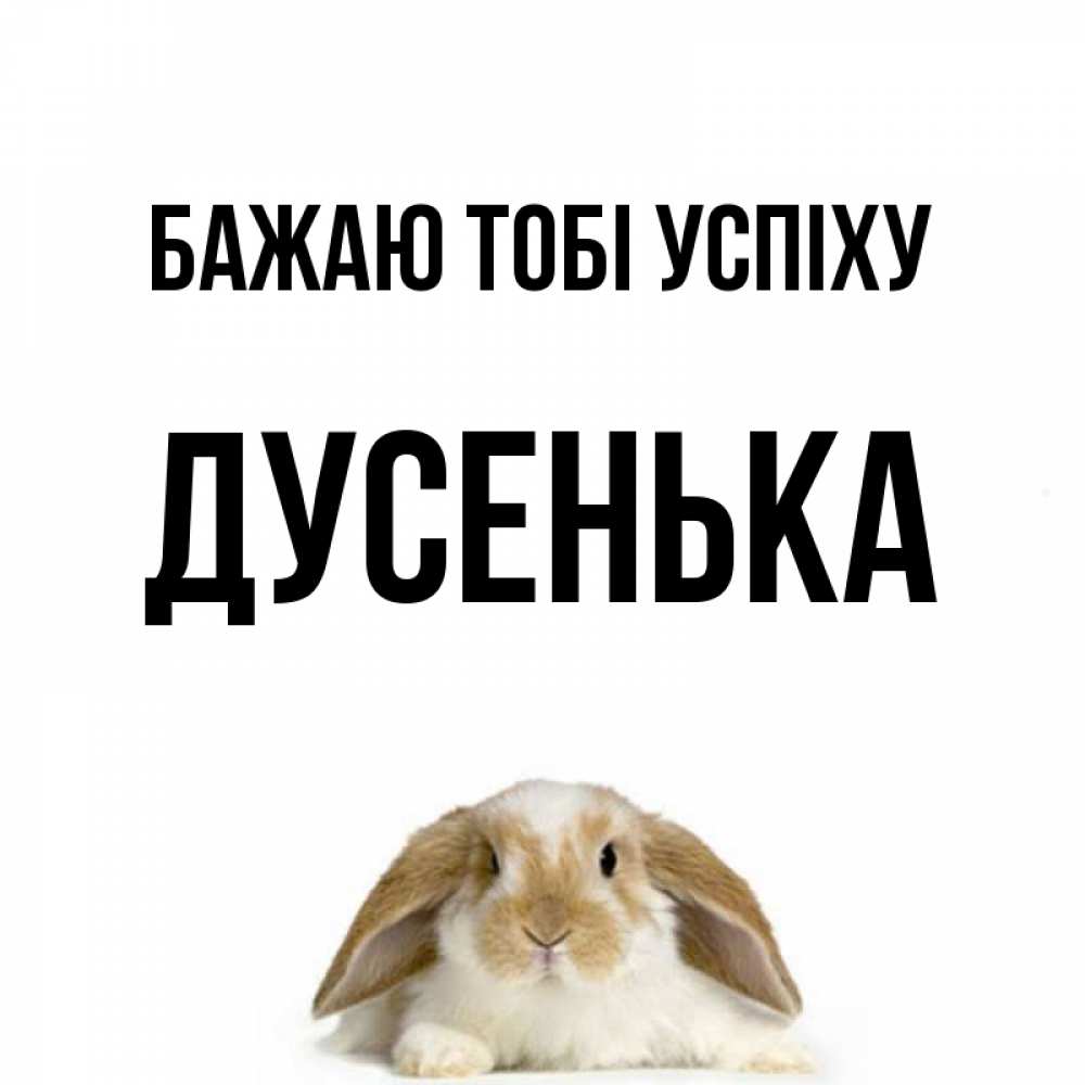 Открытка на каждый день з підписом, Дусенька Бажаю тобі успіху открытки с произвольным текстом который можно вставить в открытку и создать ее самостоятельно бесплатно онлайн Прикольна листівка з побажанням онлайн скачати безкоштовно 