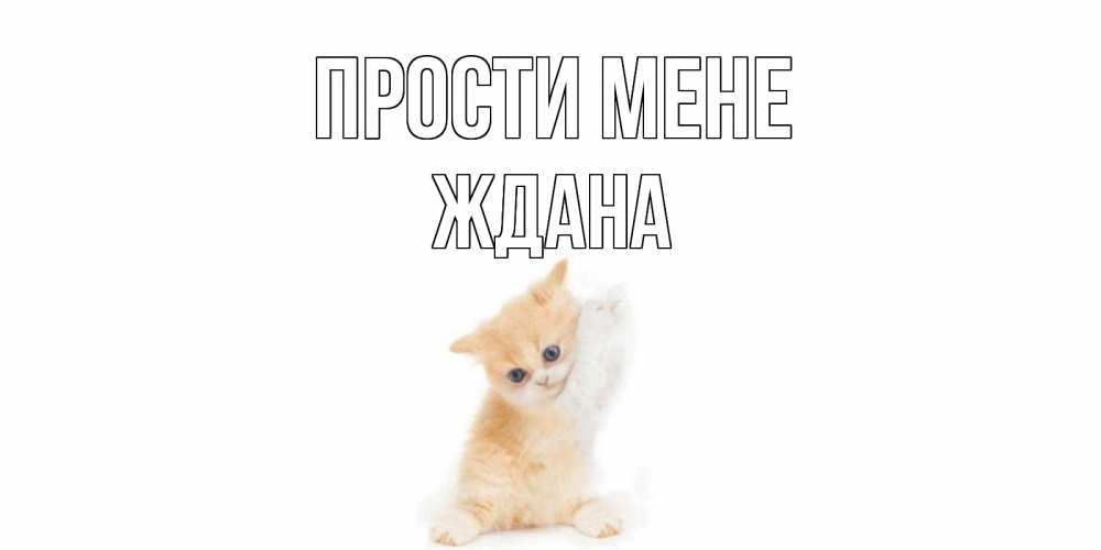 Открытка на каждый день з підписом, Ждана Прости мене кот Прикольна листівка з побажанням онлайн скачати безкоштовно 