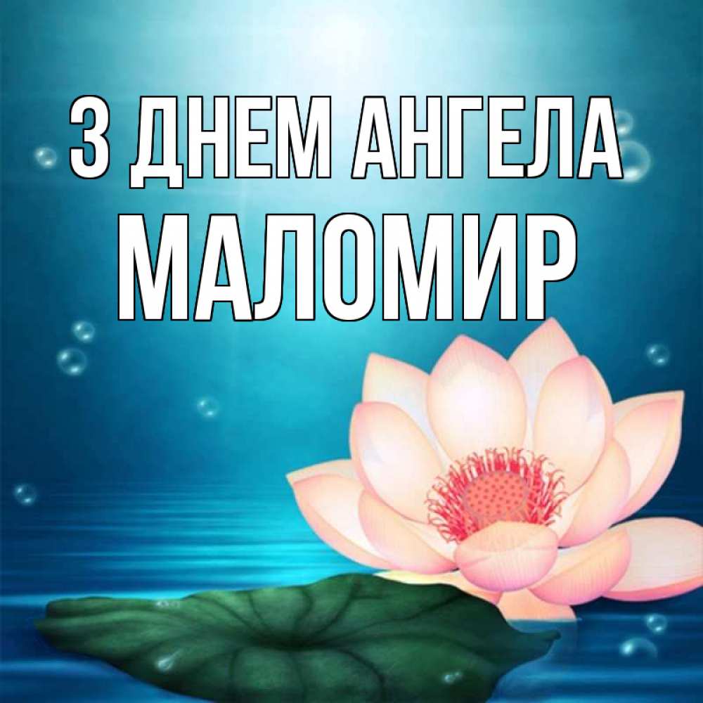 Открытка на каждый день з підписом, Маломир З Днем ангела кувшинка Прикольна листівка з побажанням онлайн скачати безкоштовно 