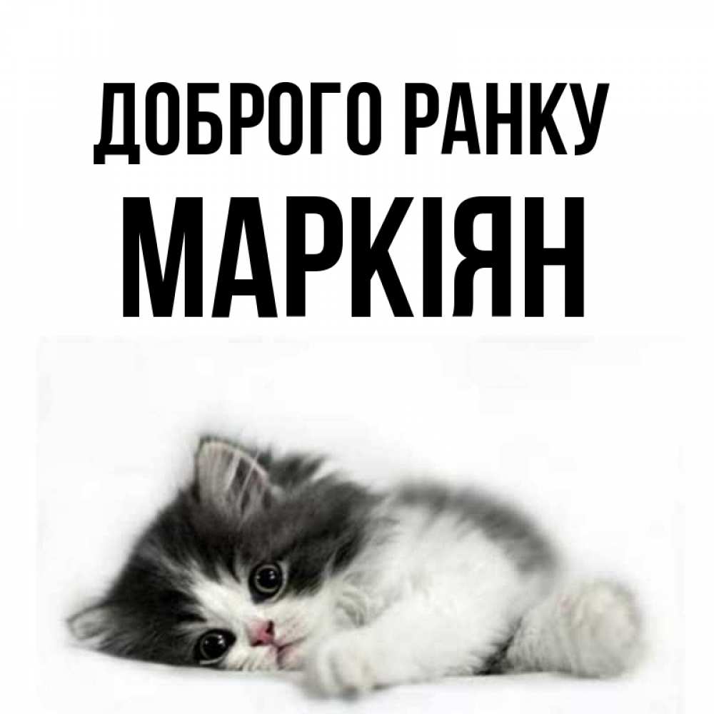 Открытка на каждый день з підписом, Маркіян Доброго ранку кот лапки Прикольна листівка з побажанням онлайн скачати безкоштовно 
