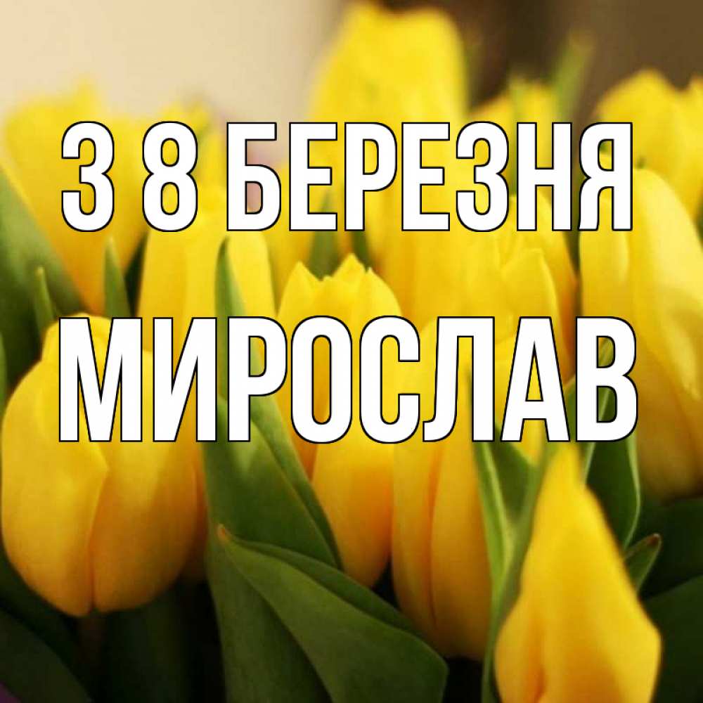 Открытка на каждый день з підписом, Мирослав З 8 БЕРЕЗНЯ цветы Прикольна листівка з побажанням онлайн скачати безкоштовно 
