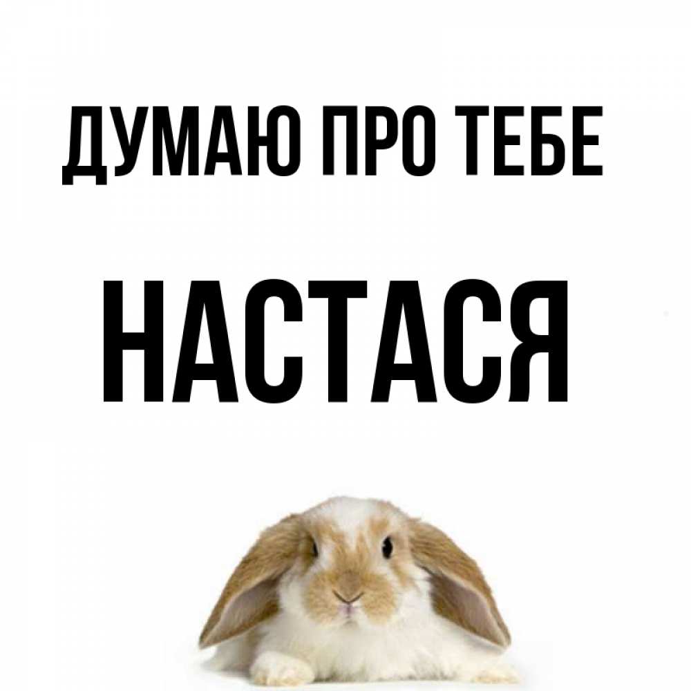 Открытка на каждый день з підписом, Настася Думаю про тебе подписать своими руками онлайн Прикольна листівка з побажанням онлайн скачати безкоштовно 