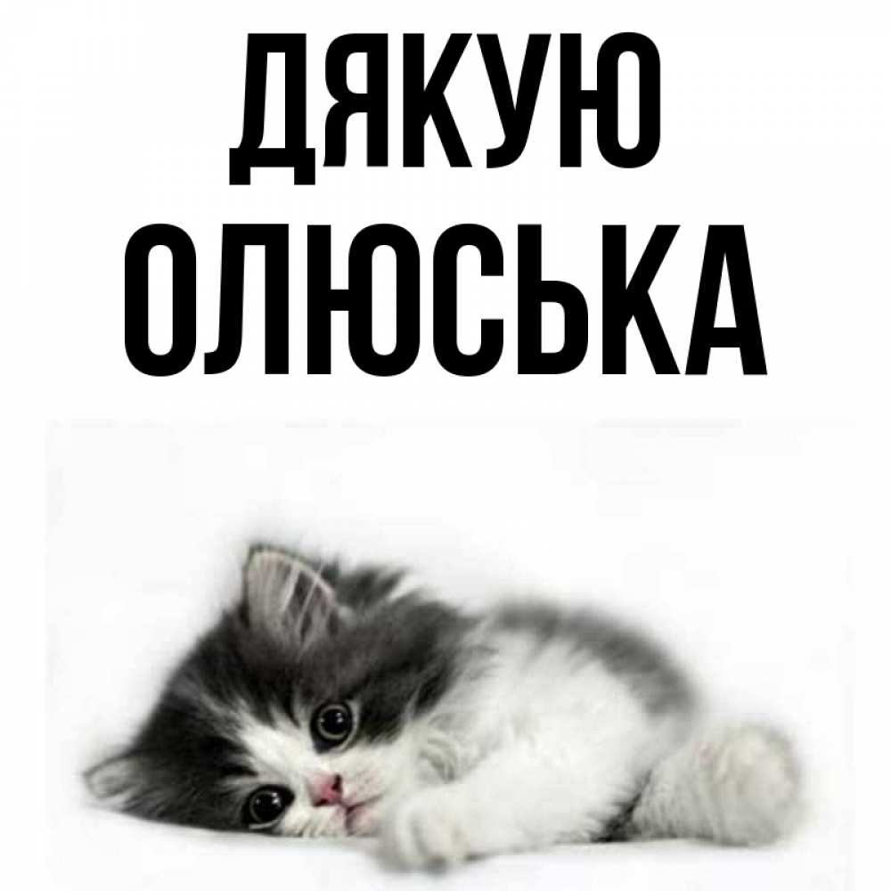 Открытка на каждый день з підписом, Олюська Дякую черный и белый кот Прикольна листівка з побажанням онлайн скачати безкоштовно 