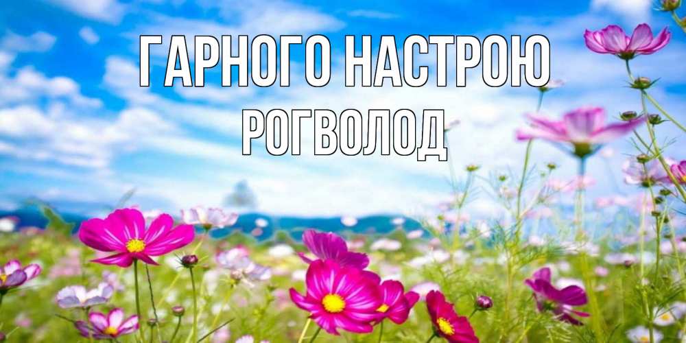 Открытка на каждый день з підписом, Рогволод Гарного настрою поле цветов Прикольна листівка з побажанням онлайн скачати безкоштовно 