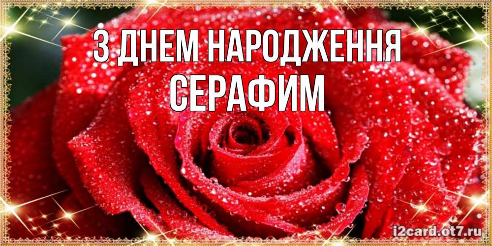 Открытка на каждый день з підписом, Серафим З Днем народження роса и роза. открытка с красивой розой Прикольна листівка з побажанням онлайн скачати безкоштовно 