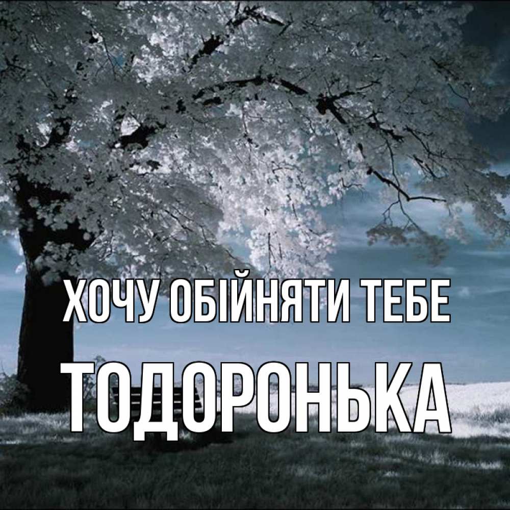 Открытка на каждый день з підписом, Тодоронька Хочу обійняти тебе дерево Прикольна листівка з побажанням онлайн скачати безкоштовно 