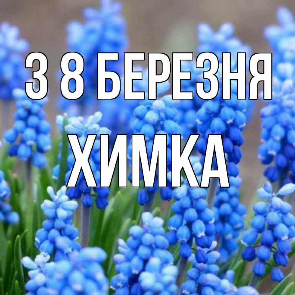 Открытка на каждый день з підписом, Химка З 8 БЕРЕЗНЯ Поздравительная открытка для женщин с цветами на праздничную дату Прикольна листівка з побажанням онлайн скачати безкоштовно 