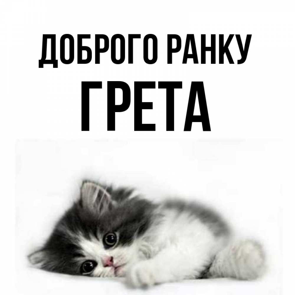 Открытка на каждый день з підписом, Грета Доброго ранку кот лапки Прикольна листівка з побажанням онлайн скачати безкоштовно 