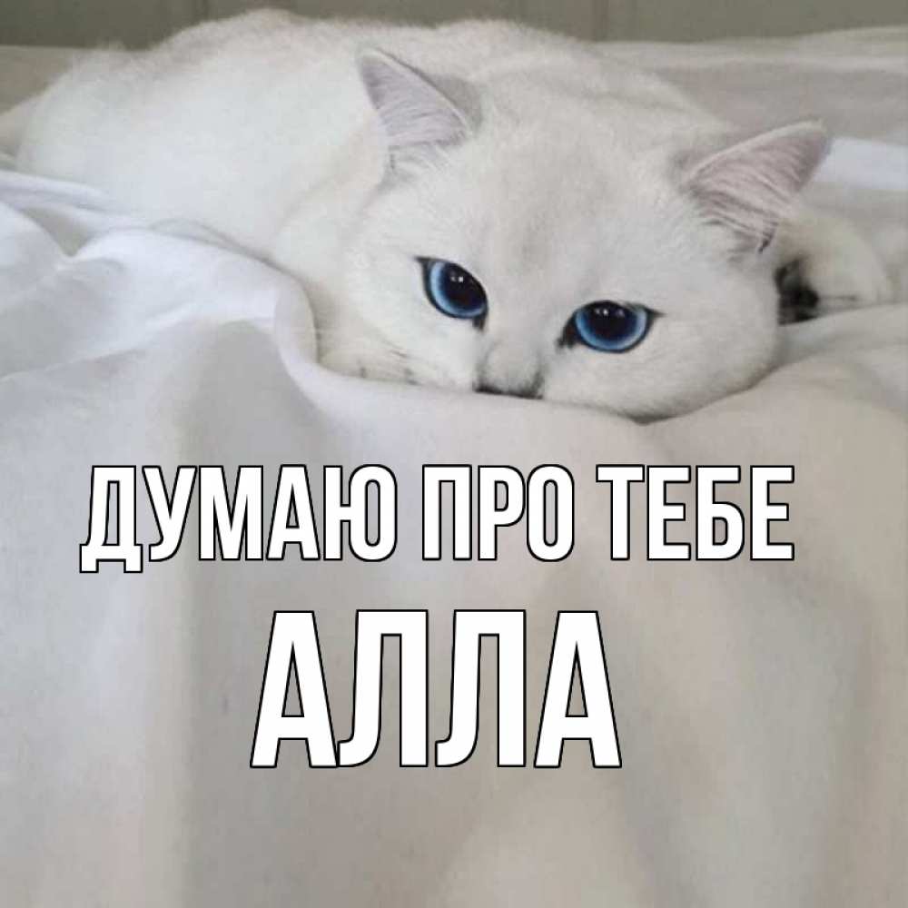 Открытка на каждый день з підписом, Алла Думаю про тебе я очень по тебе скучаю и тоскую Прикольна листівка з побажанням онлайн скачати безкоштовно 