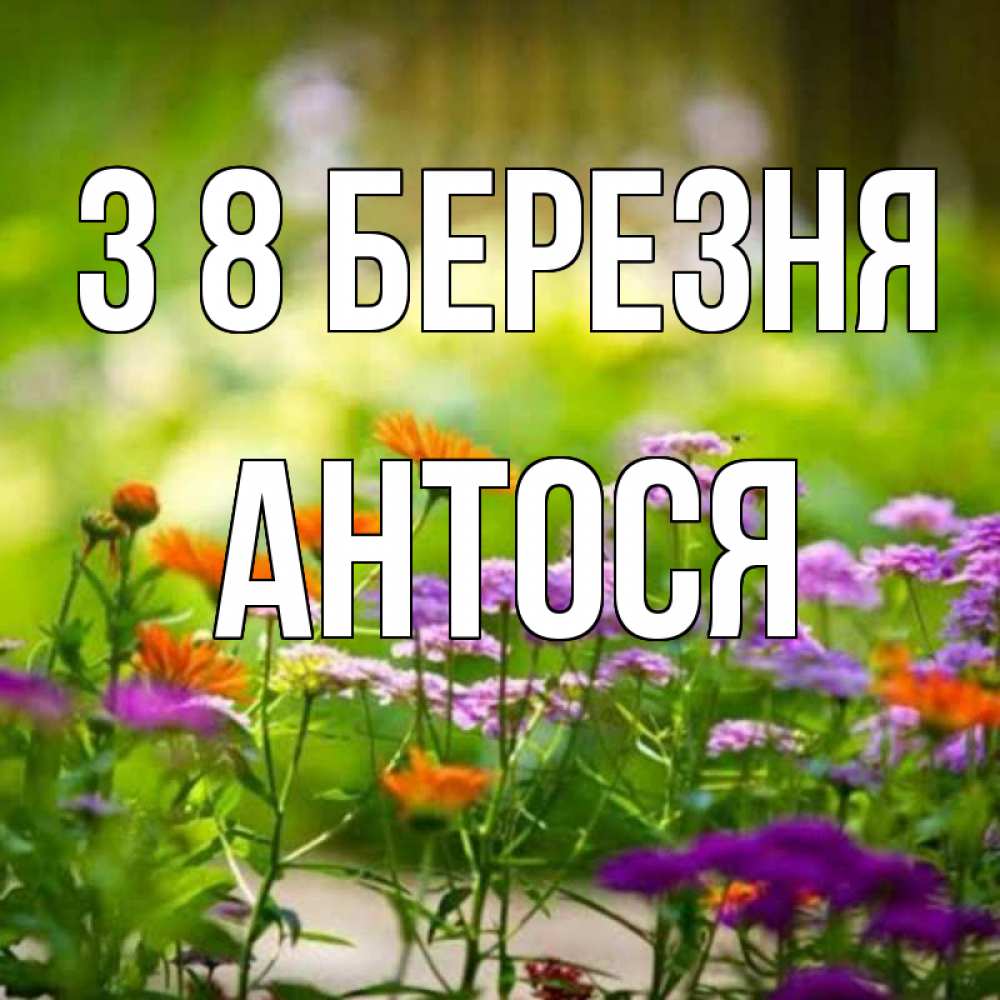 Открытка на каждый день з підписом, Антося З 8 БЕРЕЗНЯ цветы Прикольна листівка з побажанням онлайн скачати безкоштовно 