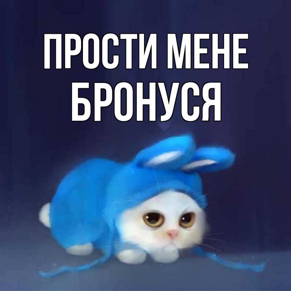 Открытка на каждый день з підписом, Бронуся Прости мене невинный котозай просит прощения Прикольна листівка з побажанням онлайн скачати безкоштовно 