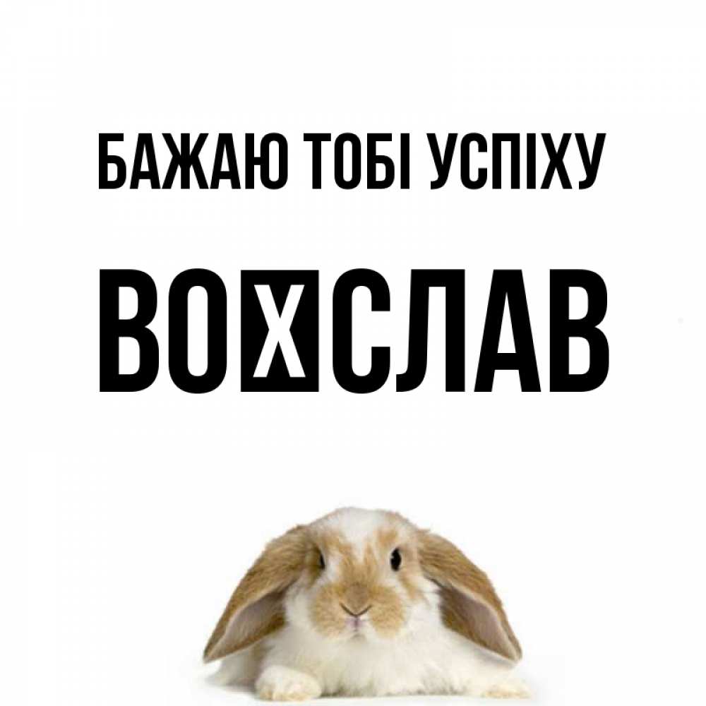 Открытка на каждый день з підписом, Воїслав Бажаю тобі успіху открытки с произвольным текстом который можно вставить в открытку и создать ее самостоятельно бесплатно онлайн Прикольна листівка з побажанням онлайн скачати безкоштовно 