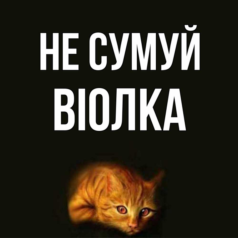 Открытка на каждый день з підписом, Віолка Не сумуй лежащий кот в темноте Прикольна листівка з побажанням онлайн скачати безкоштовно 