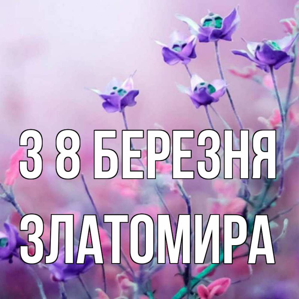 Открытка на каждый день з підписом, Златомира З 8 БЕРЕЗНЯ международный женский день 2 Прикольна листівка з побажанням онлайн скачати безкоштовно 