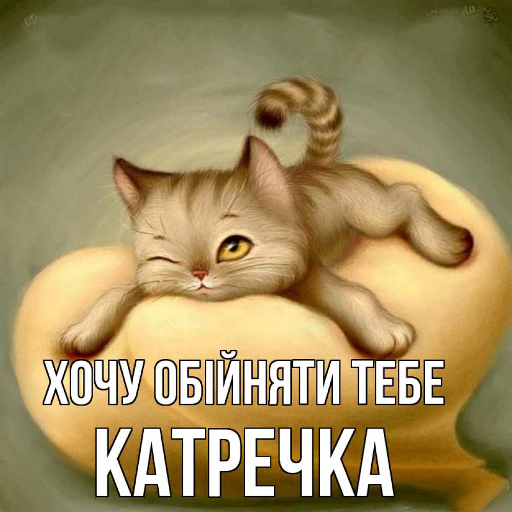 Открытка на каждый день з підписом, Катречка Хочу обійняти тебе кошечка Прикольна листівка з побажанням онлайн скачати безкоштовно 