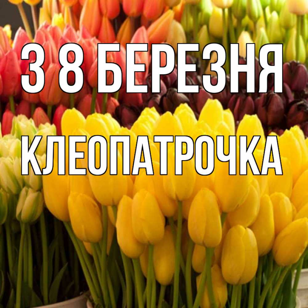 Открытка на каждый день з підписом, Клеопатрочка З 8 БЕРЕЗНЯ цветы Прикольна листівка з побажанням онлайн скачати безкоштовно 