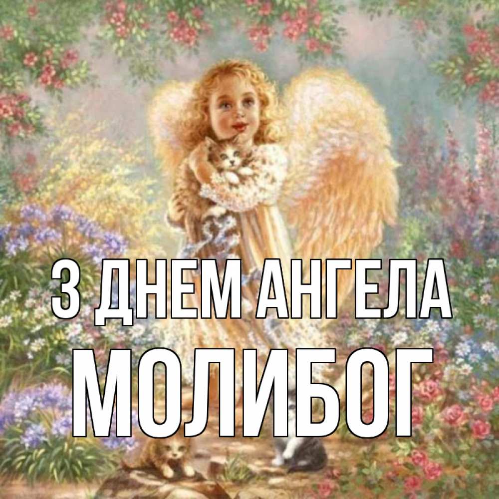 Открытка на каждый день з підписом, Молибог З Днем ангела держит котенка Прикольна листівка з побажанням онлайн скачати безкоштовно 