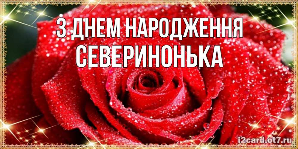 Открытка на каждый день з підписом, Северинонька З Днем народження роса и роза. открытка с красивой розой Прикольна листівка з побажанням онлайн скачати безкоштовно 