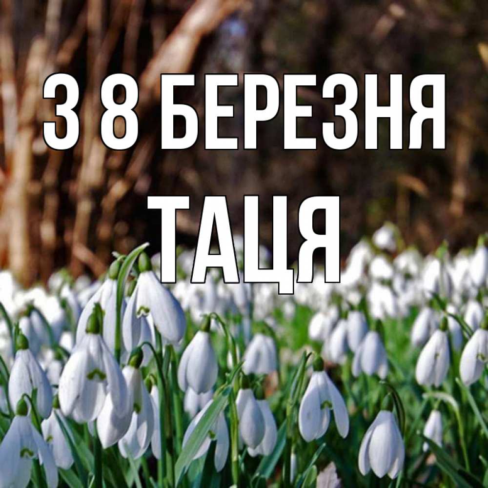 Открытка на каждый день з підписом, Таця З 8 БЕРЕЗНЯ с подснежниками 1 Прикольна листівка з побажанням онлайн скачати безкоштовно 