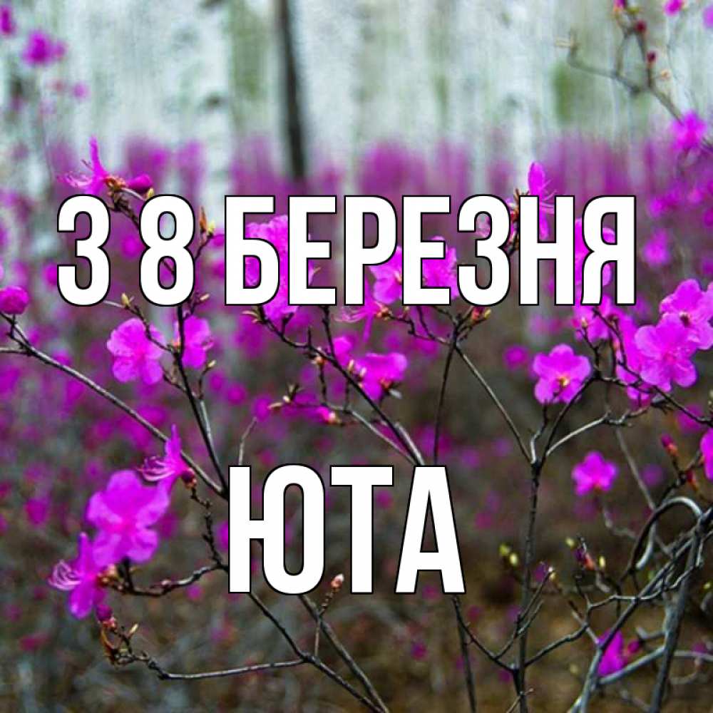 Открытка на каждый день з підписом, Юта З 8 БЕРЕЗНЯ дикие цветы Прикольна листівка з побажанням онлайн скачати безкоштовно 