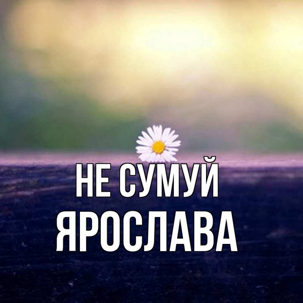 Открытка на каждый день з підписом, Ярослава Не сумуй красота Прикольна листівка з побажанням онлайн скачати безкоштовно 
