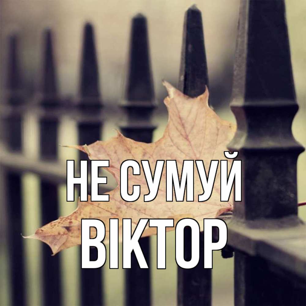 Открытка на каждый день з підписом, Віктор Не сумуй лист клена Прикольна листівка з побажанням онлайн скачати безкоштовно 