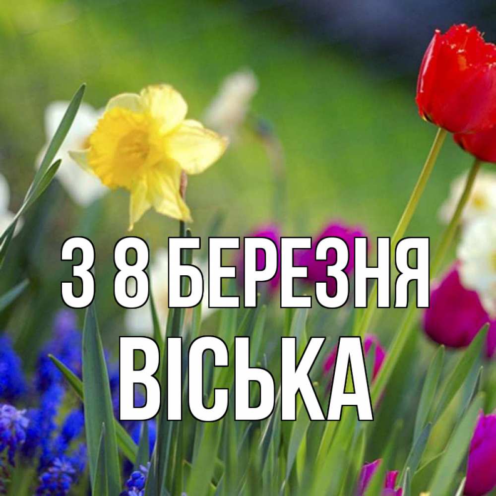 Открытка на каждый день з підписом, Віська З 8 БЕРЕЗНЯ международный женский день 3 Прикольна листівка з побажанням онлайн скачати безкоштовно 