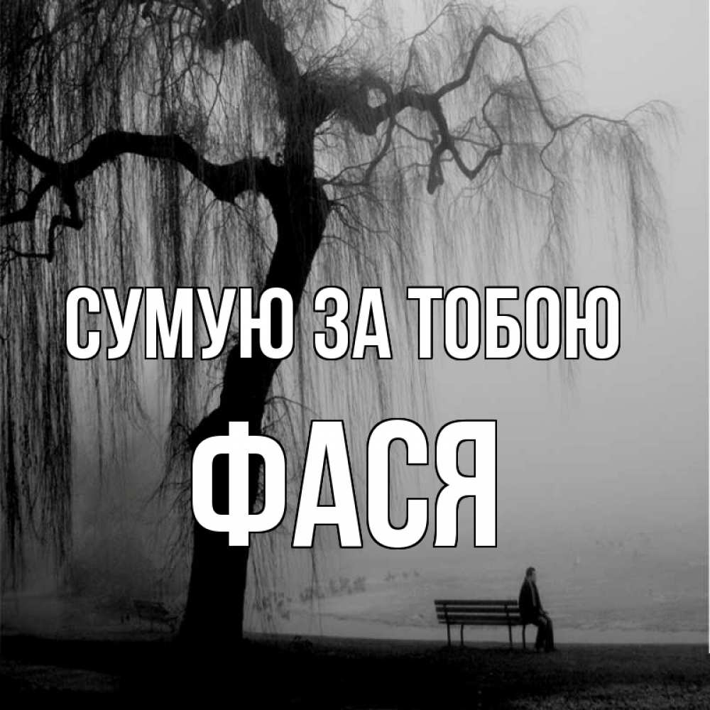 Открытка на каждый день з підписом, Фася Сумую за тобою лавочка под деревом я жду тебя Прикольна листівка з побажанням онлайн скачати безкоштовно 