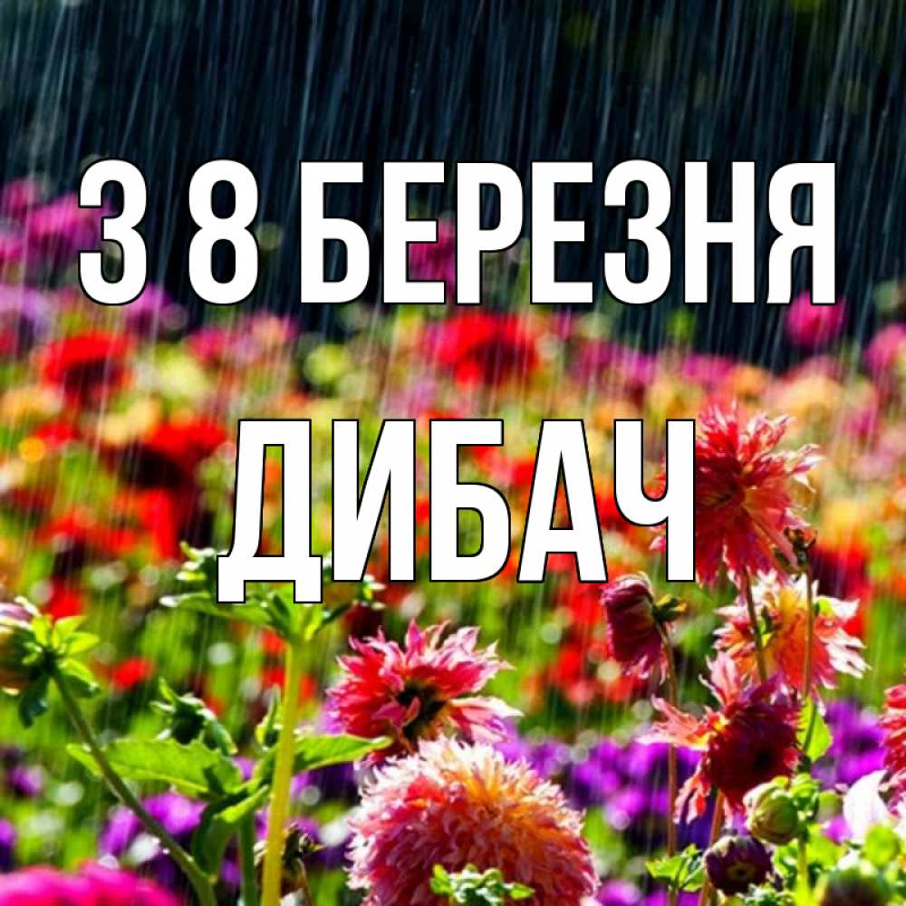 Открытка на каждый день з підписом, Дибач З 8 БЕРЕЗНЯ цветы под дождиком к международному женскому дню Прикольна листівка з побажанням онлайн скачати безкоштовно 