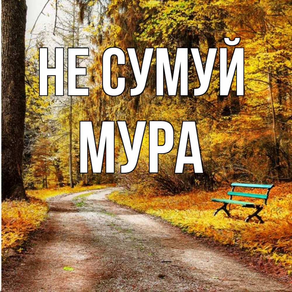 Открытка на каждый день з підписом, Мура Не сумуй зеленая лавочка Прикольна листівка з побажанням онлайн скачати безкоштовно 