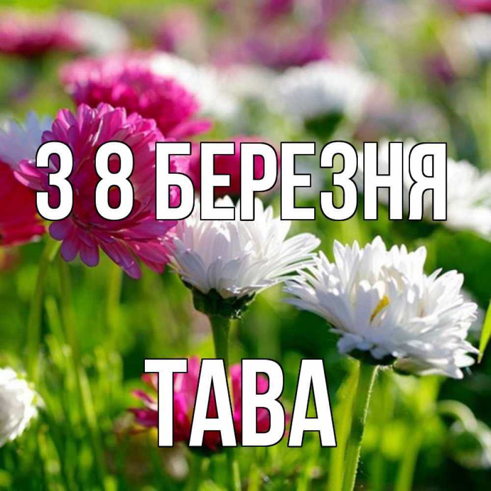 Открытка на каждый день з підписом, Тава З 8 БЕРЕЗНЯ международный женский день 1 Прикольна листівка з побажанням онлайн скачати безкоштовно 