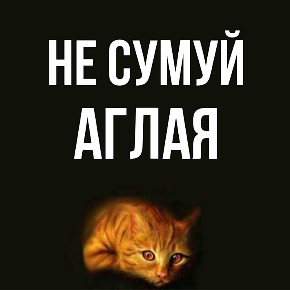 Открытка на каждый день з підписом, Аглая Не сумуй лежащий кот в темноте Прикольна листівка з побажанням онлайн скачати безкоштовно 