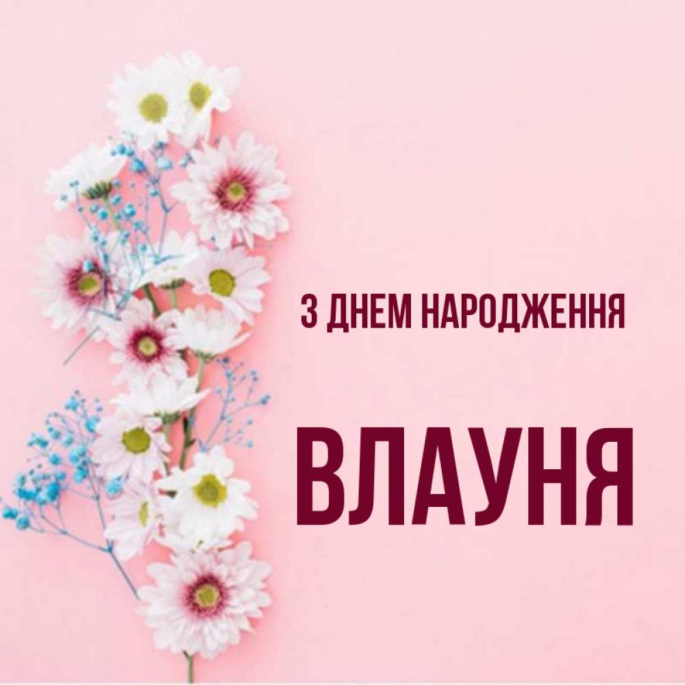 Открытка на каждый день з підписом, Влауня З Днем народження Родная моя с днем рождения тебя картинка с цветами белыми и голубыми Прикольна листівка з побажанням онлайн скачати безкоштовно 
