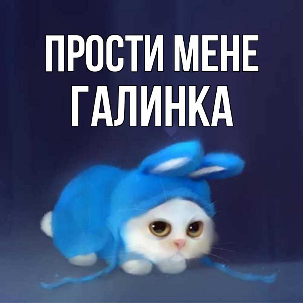 Открытка на каждый день з підписом, Галинка Прости мене невинный котозай просит прощения Прикольна листівка з побажанням онлайн скачати безкоштовно 