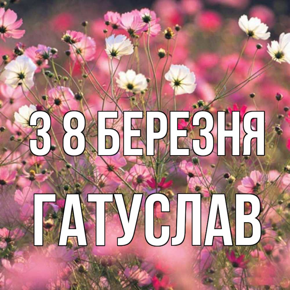 Открытка на каждый день з підписом, Гатуслав З 8 БЕРЕЗНЯ красиво 1 Прикольна листівка з побажанням онлайн скачати безкоштовно 