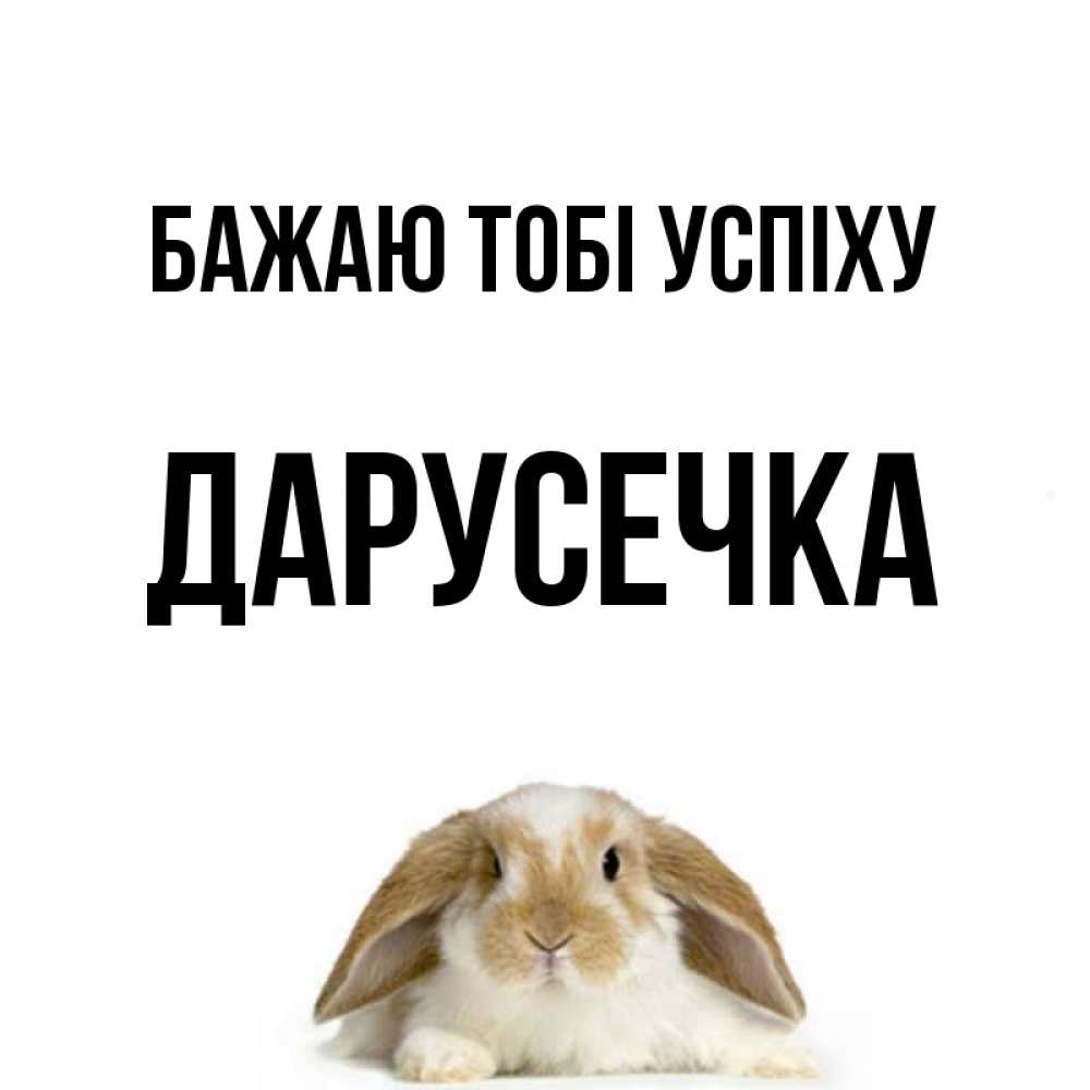 Открытка на каждый день з підписом, Дарусечка Бажаю тобі успіху открытки с произвольным текстом который можно вставить в открытку и создать ее самостоятельно бесплатно онлайн Прикольна листівка з побажанням онлайн скачати безкоштовно 