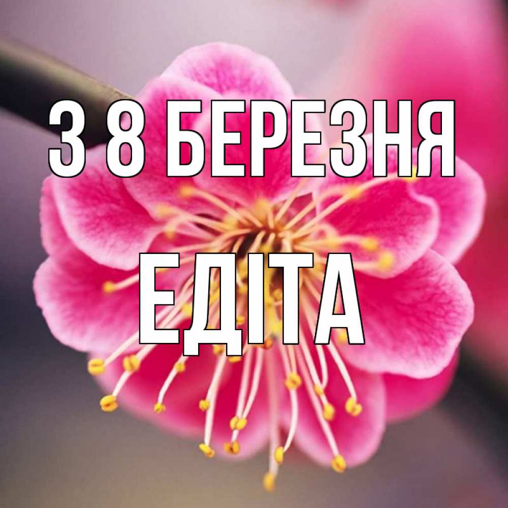 Открытка на каждый день з підписом, Едіта З 8 БЕРЕЗНЯ цветы Прикольна листівка з побажанням онлайн скачати безкоштовно 