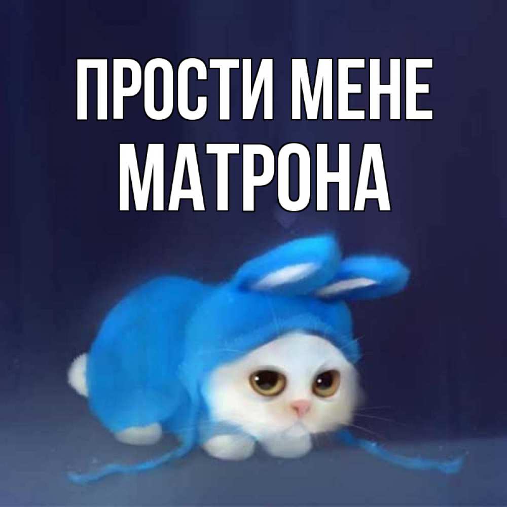 Открытка на каждый день з підписом, Матрона Прости мене невинный котозай просит прощения Прикольна листівка з побажанням онлайн скачати безкоштовно 