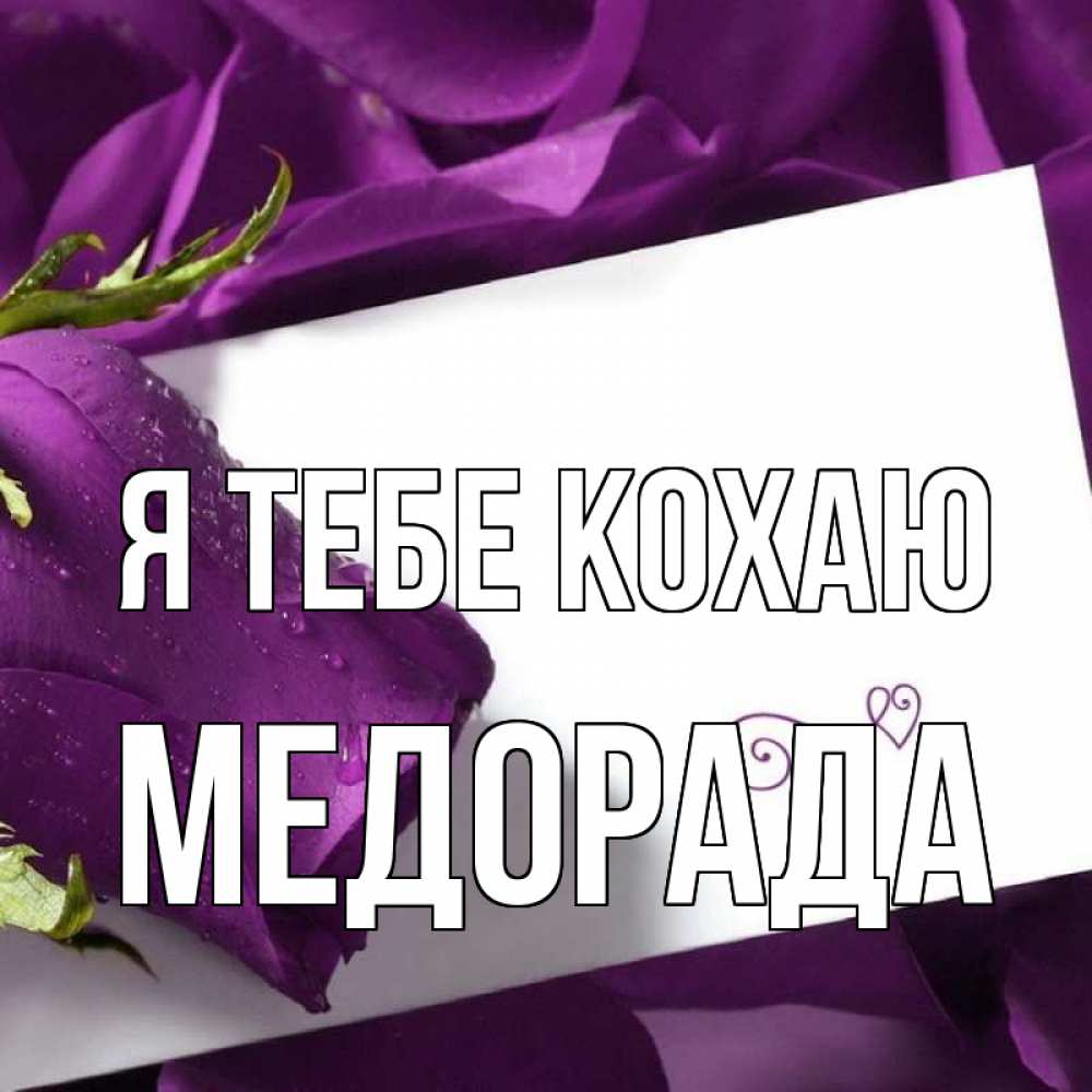 Открытка на каждый день з підписом, Медорада Я тебе кохаю роза Прикольна листівка з побажанням онлайн скачати безкоштовно 