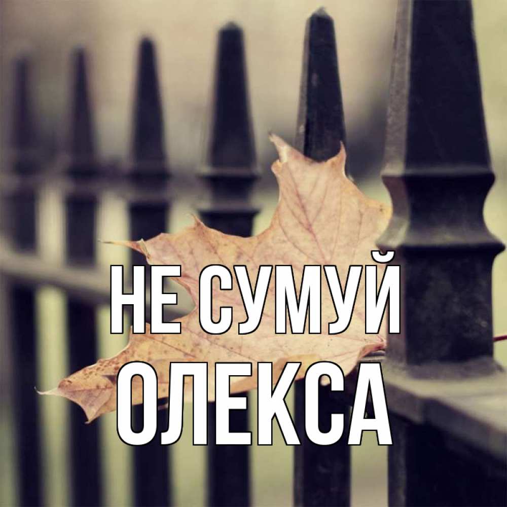 Открытка на каждый день з підписом, Олекса Не сумуй лист клена Прикольна листівка з побажанням онлайн скачати безкоштовно 
