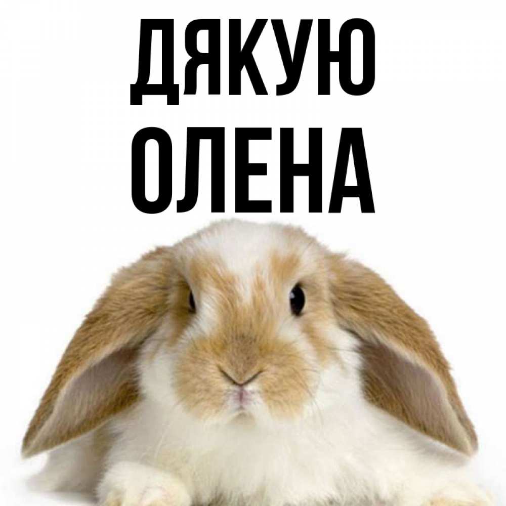 Открытка на каждый день з підписом, Олена Дякую коричнево белый заяц Прикольна листівка з побажанням онлайн скачати безкоштовно 